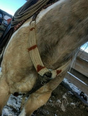 Breastcollar #1 still being used 