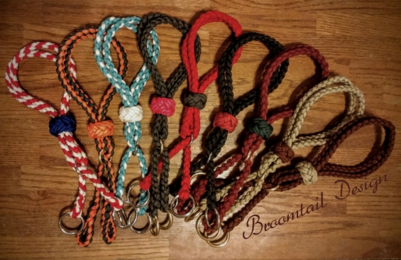 Colorful group of warbridles