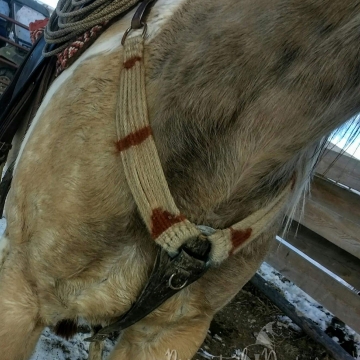 Breastcollar #1 still being used 