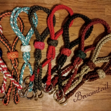 Colorful group of warbridles